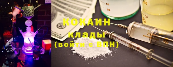 мдпв Протвино